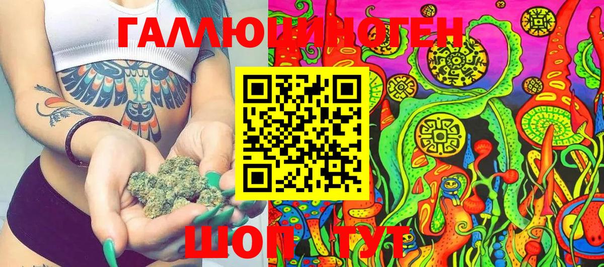 Королёв  Псилоцибиновые грибы мицелий  Вход с VPN 